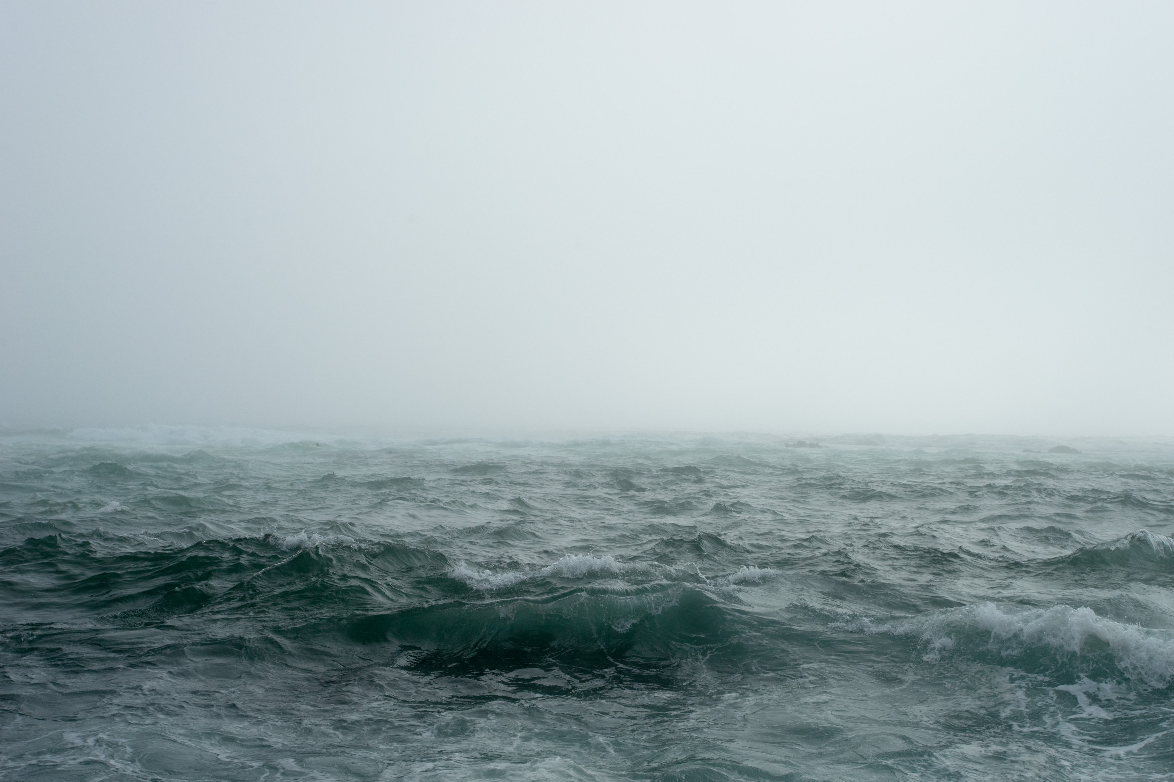 Swallowed Whole: 4 Lessons from Jonah