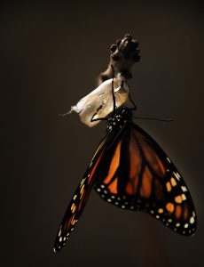 Transformation is the ultimate miracle of a patient God.