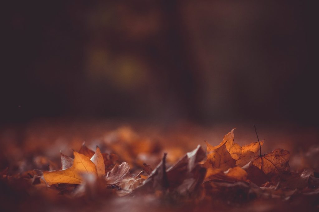 4 Ways to be Missional this Thanksgiving