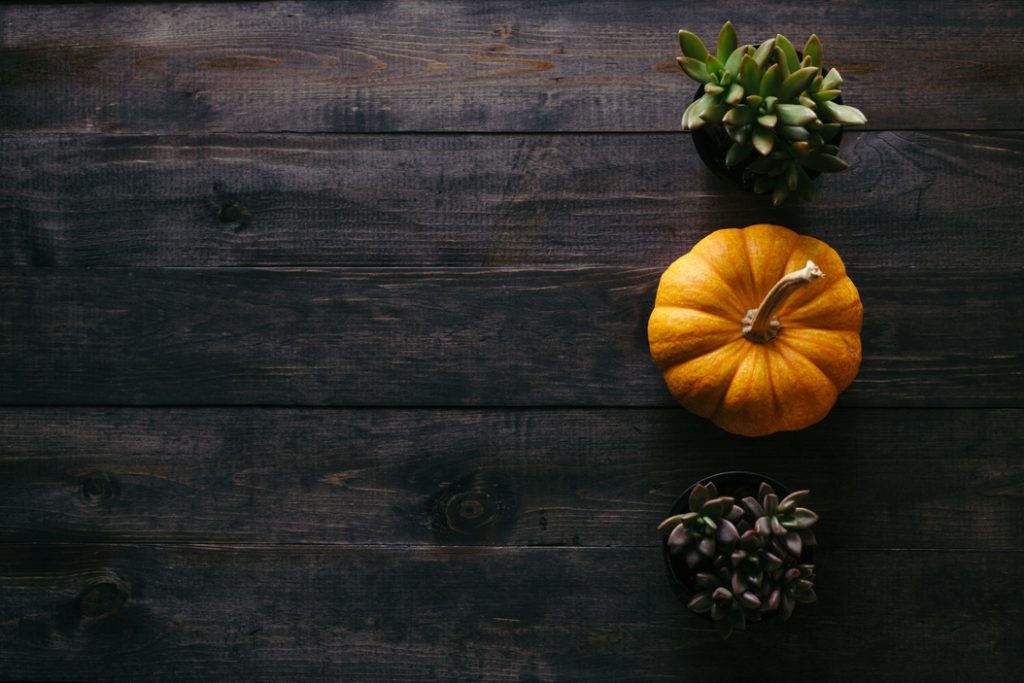 10 reasons missionaries are grateful this Thanksgiving.