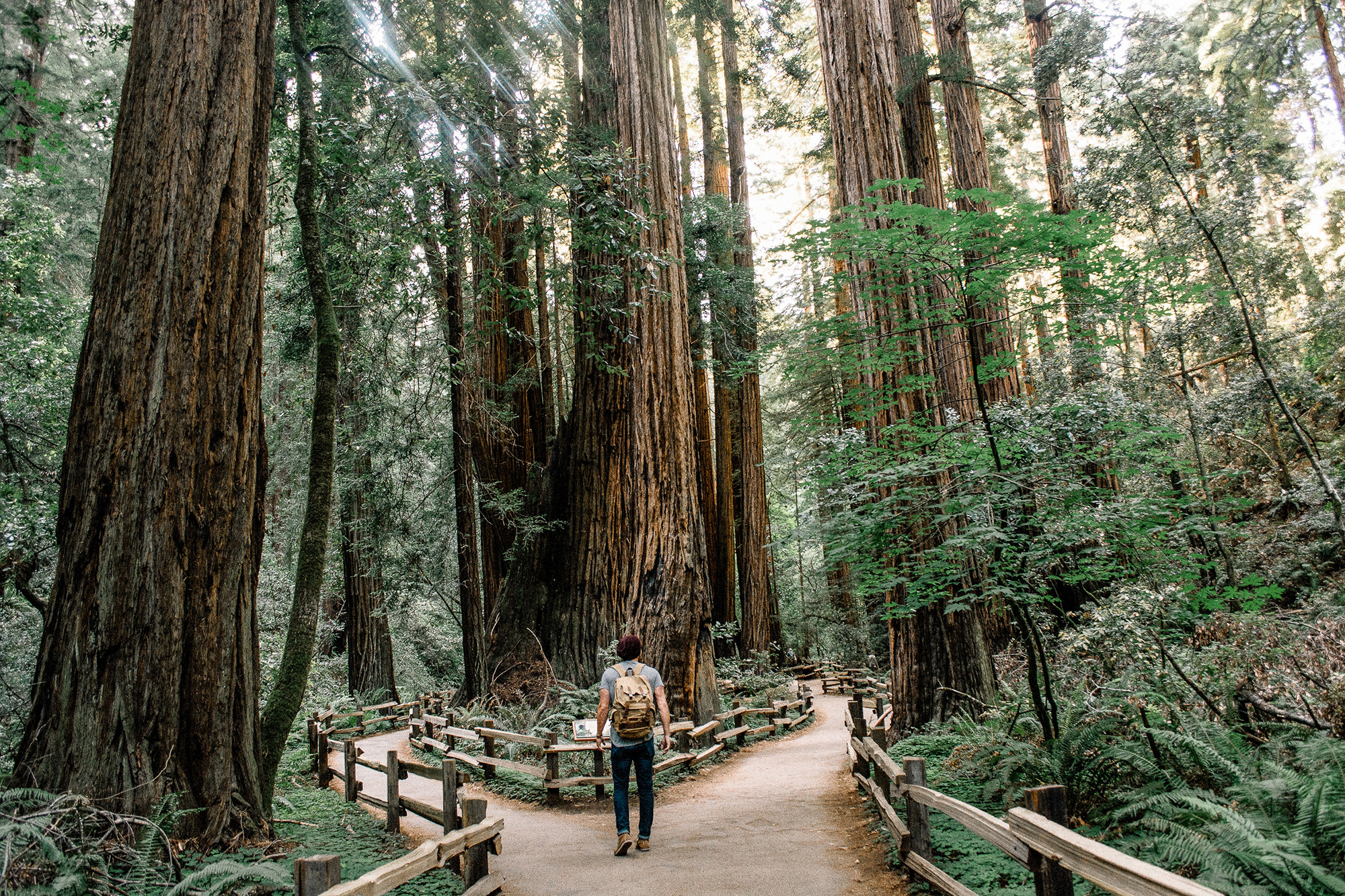 Pray for Safe Journeys – Daily Prayer Force