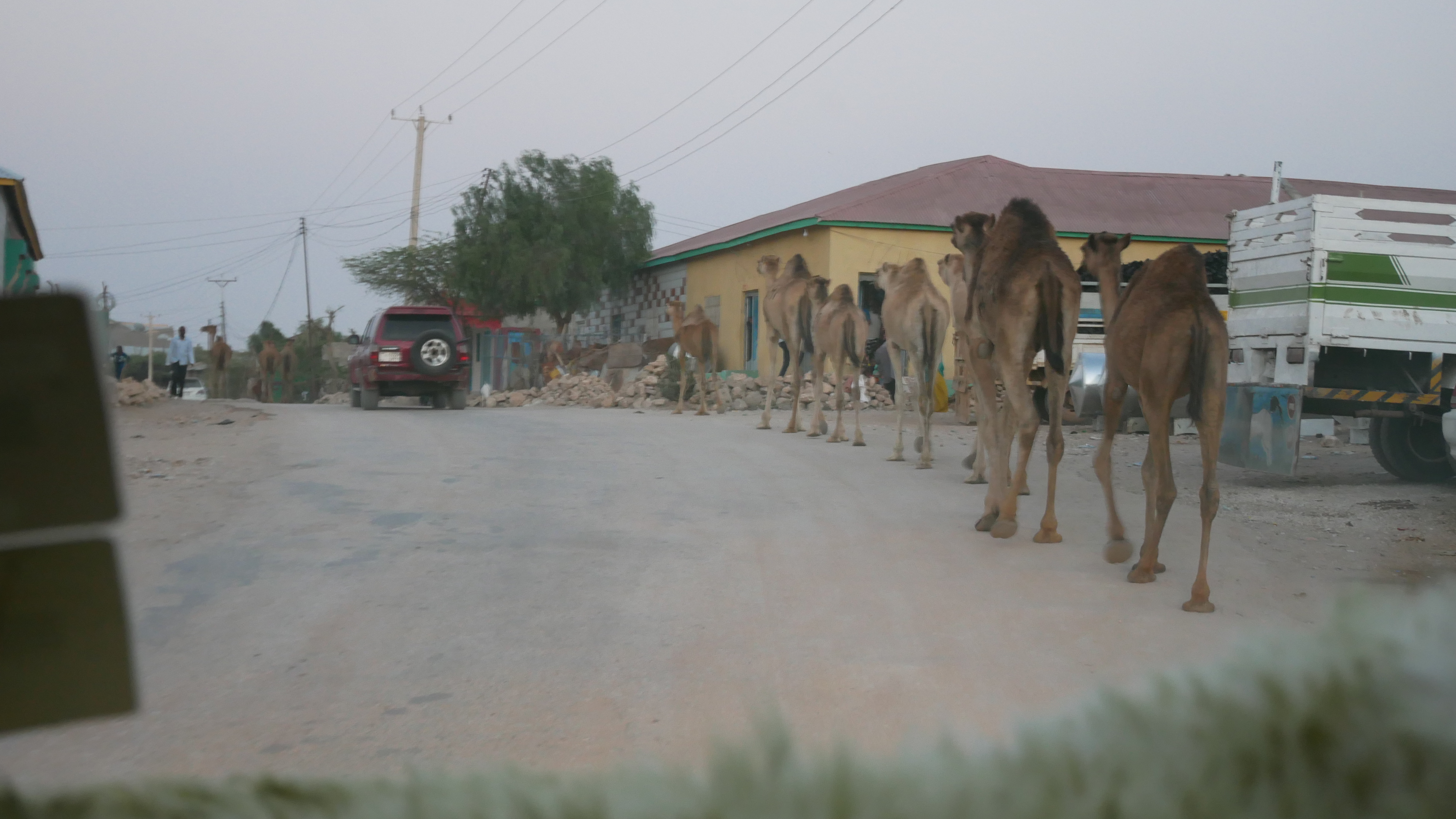 First Update From the Four Teams Serving in the Dangerous Land of “Wellspring”