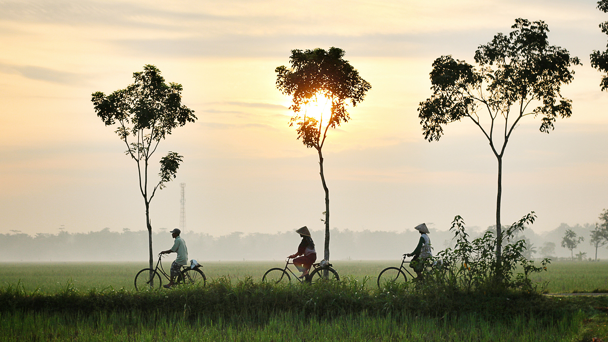 Praise God for the Workers Serving in Different Regions of Asia