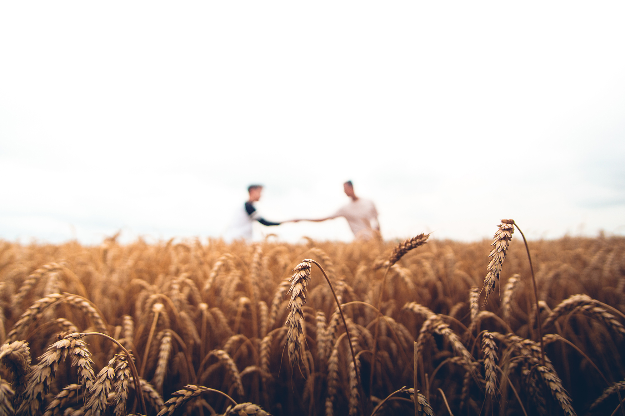 Praise God for Harvest Workers