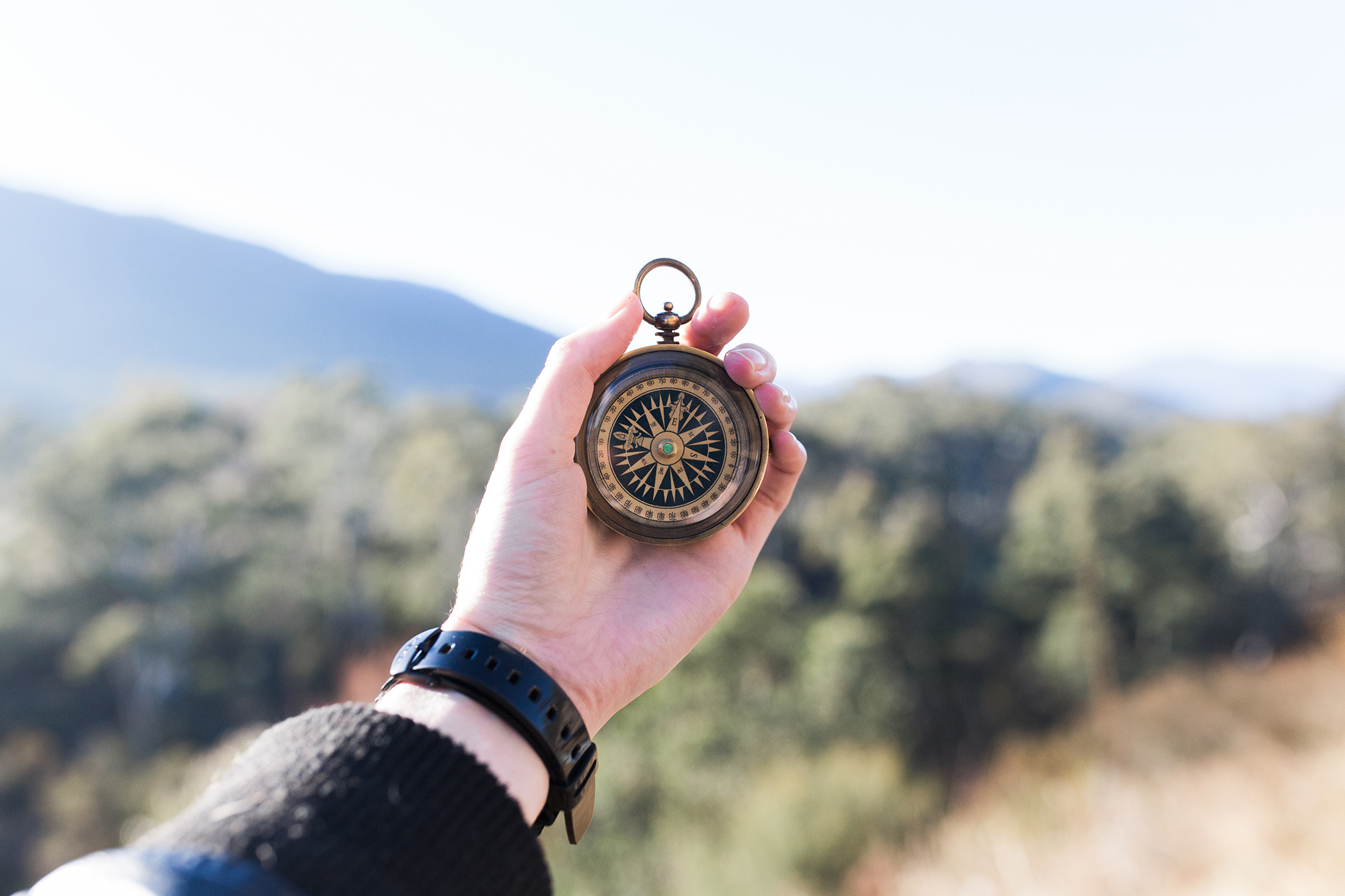 Five Reasons to Try the Quest Missions Apprenticeship (from a Quester)
