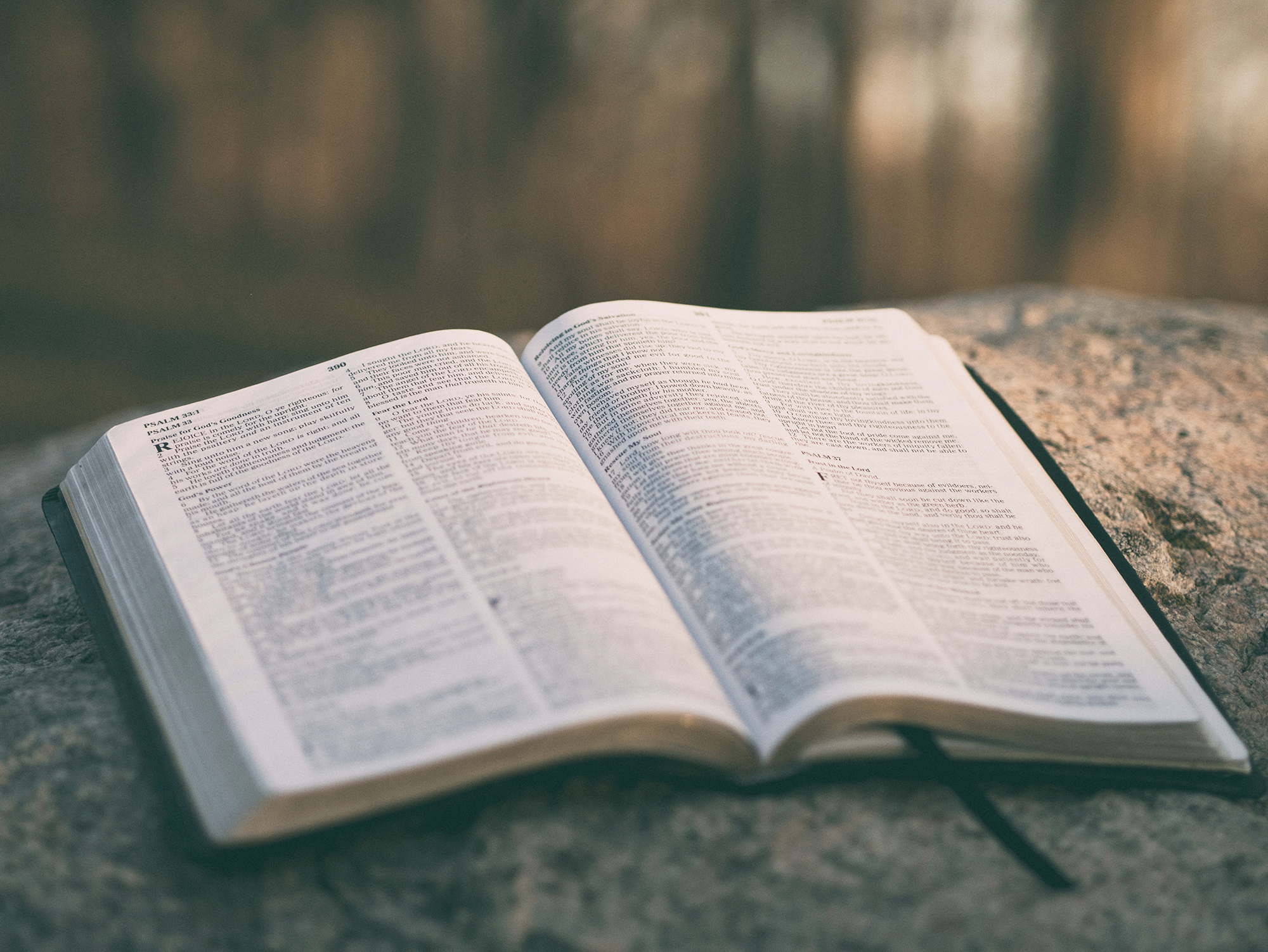 They confiscated their Bible and threatened Them