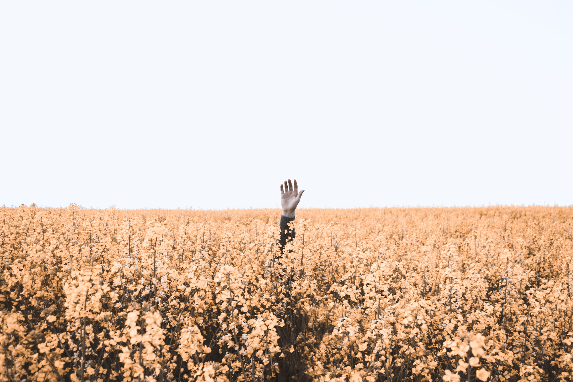 Help in reaching the last, the least, and the lost