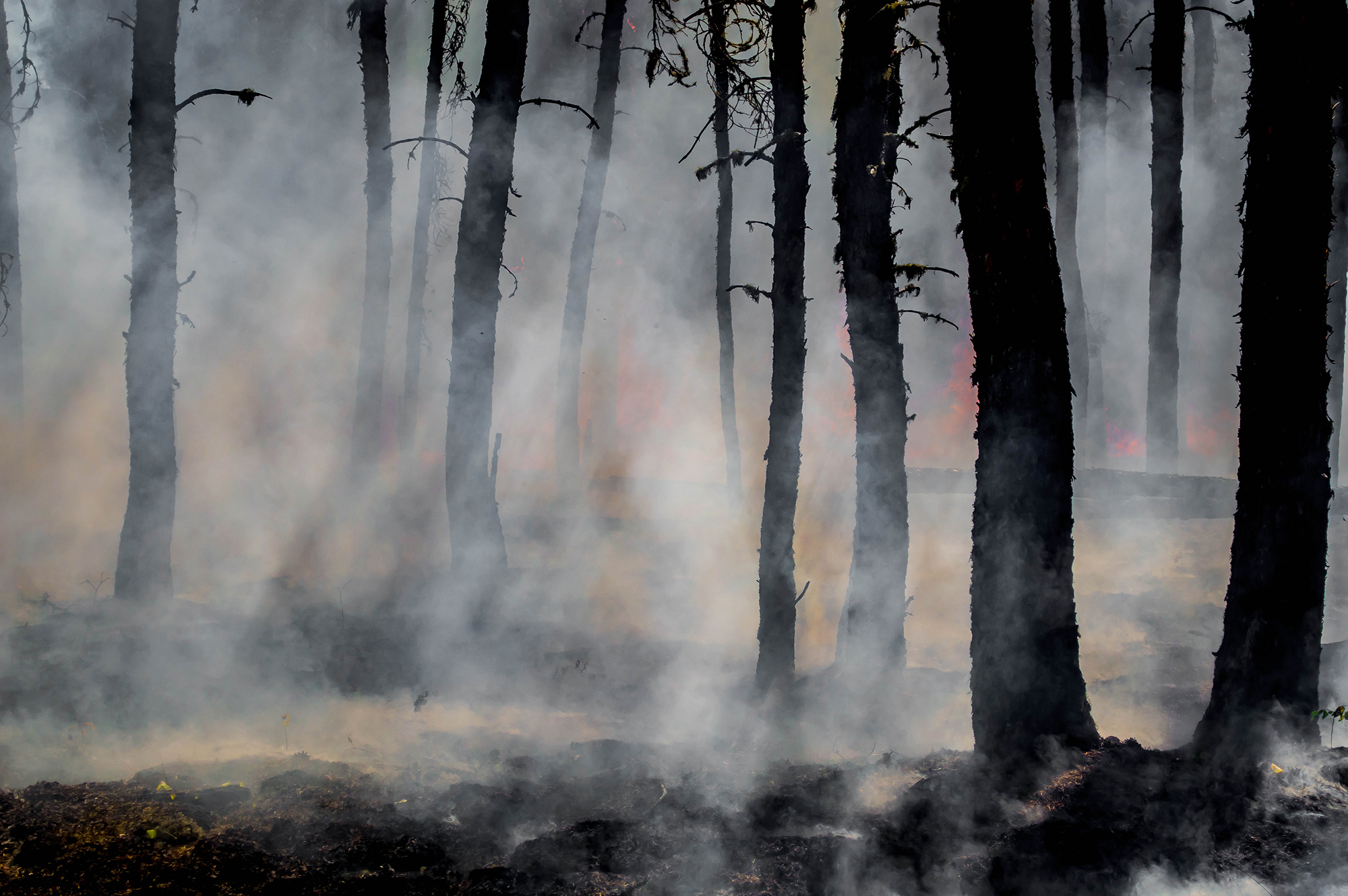Areas devastated by war, natural disasters, and radicalism