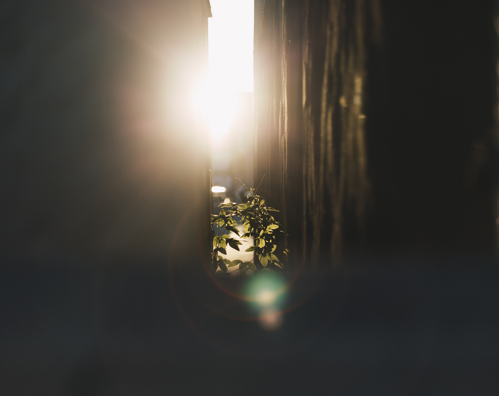 A privilege to experience persecution so that the church might grow