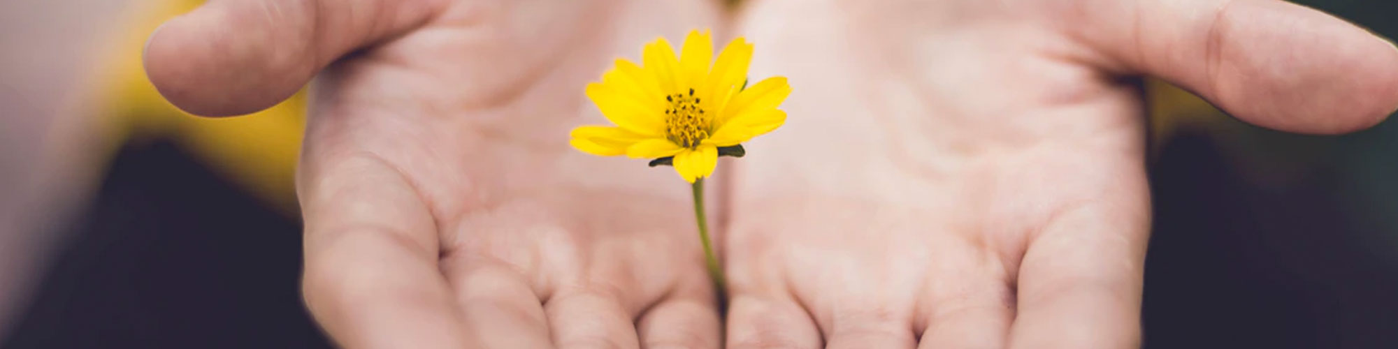 The Antidote of Fear: A Missionary’s Reflections