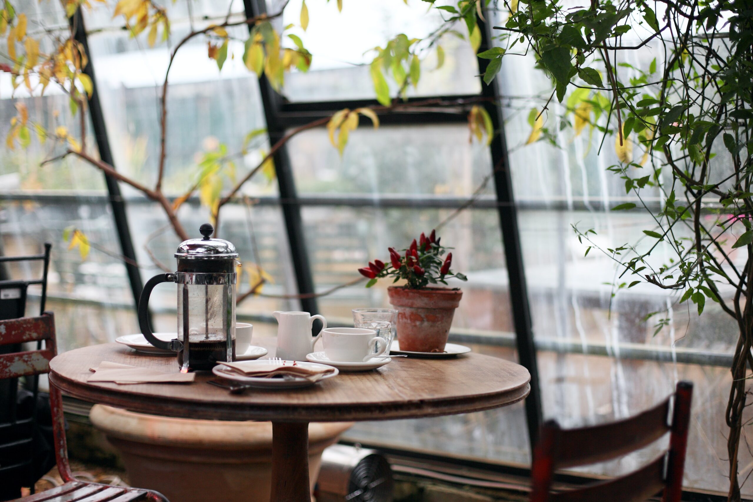 A Café Conversation